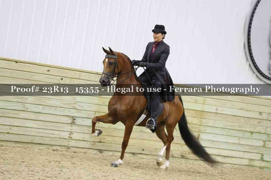 Proof 23R13_15355