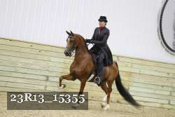 23R13_15355 proof