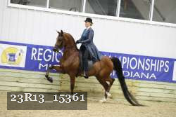 23R13_15361 proof