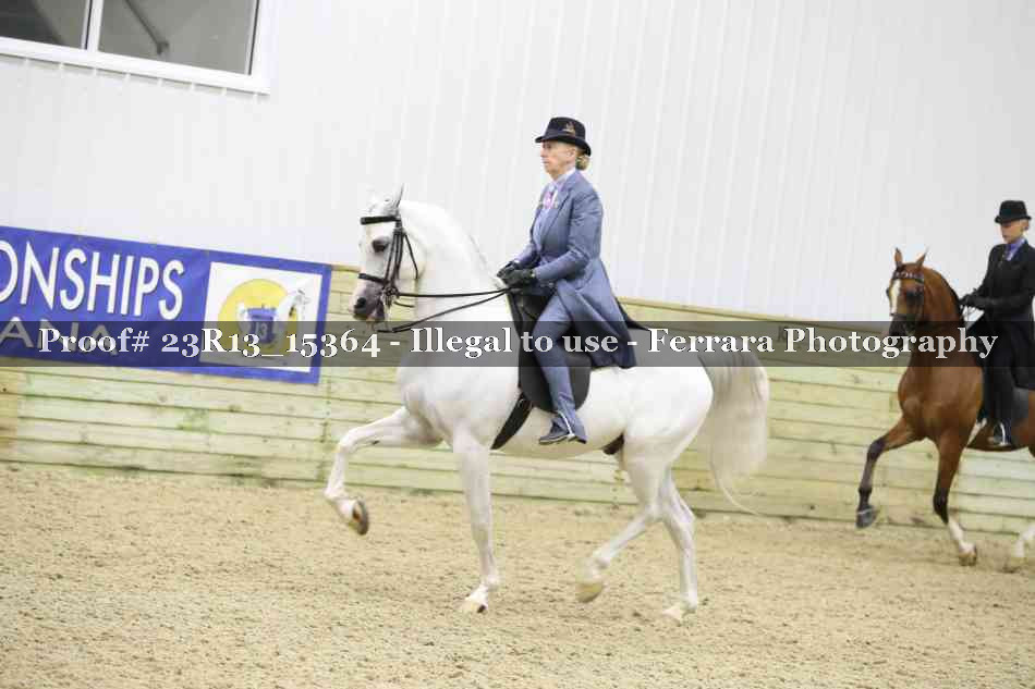 Proof 23R13_15364