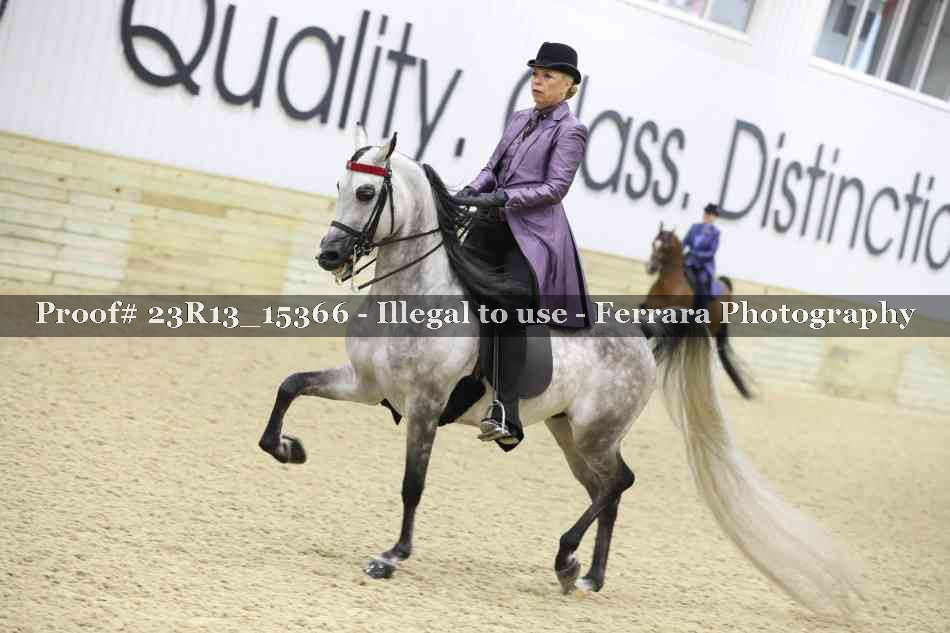 Proof 23R13_15366