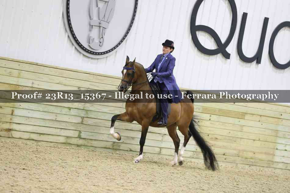 Proof 23R13_15367