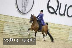 23R13_15367 proof