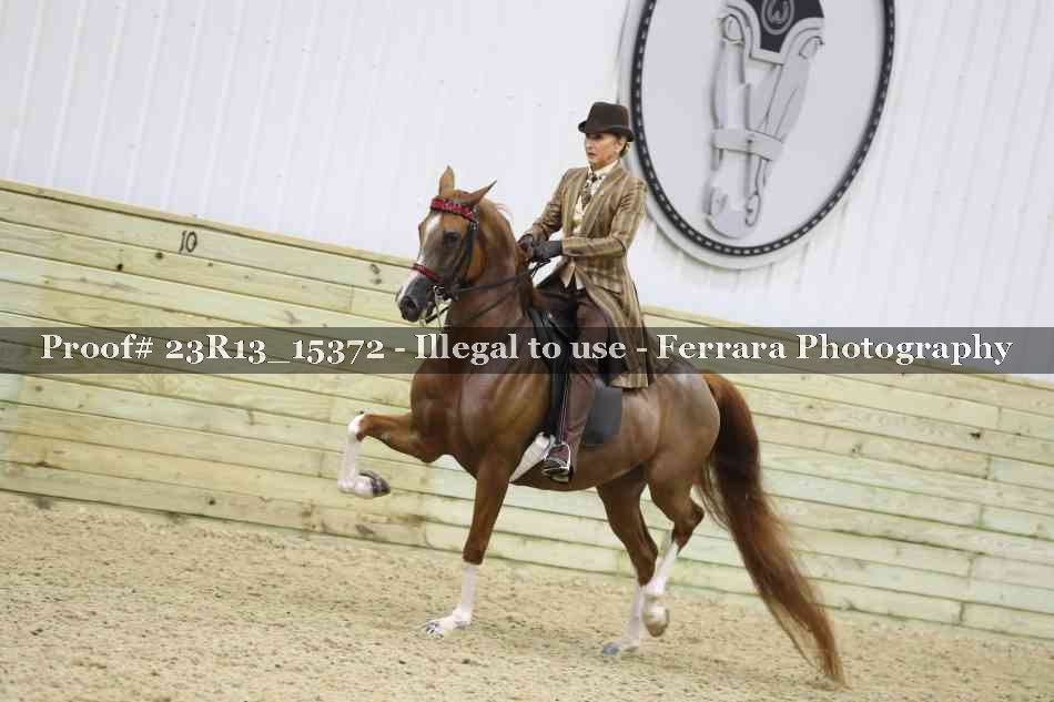 Proof 23R13_15372