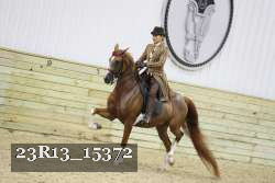 23R13_15372 proof