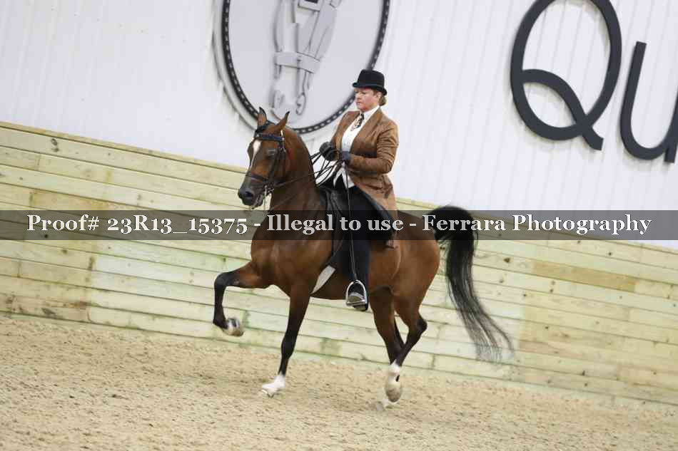 Proof 23R13_15375