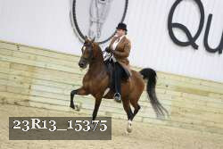 23R13_15375 proof