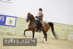 23R13_15376 proof