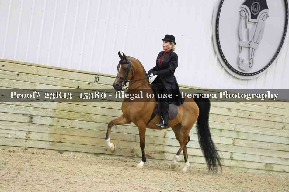 Proof 23R13_15380