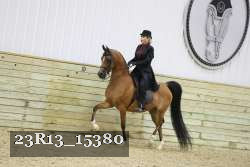 23R13_15380 proof