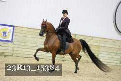 23R13_15384 proof