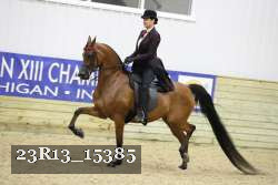 23R13_15385 proof