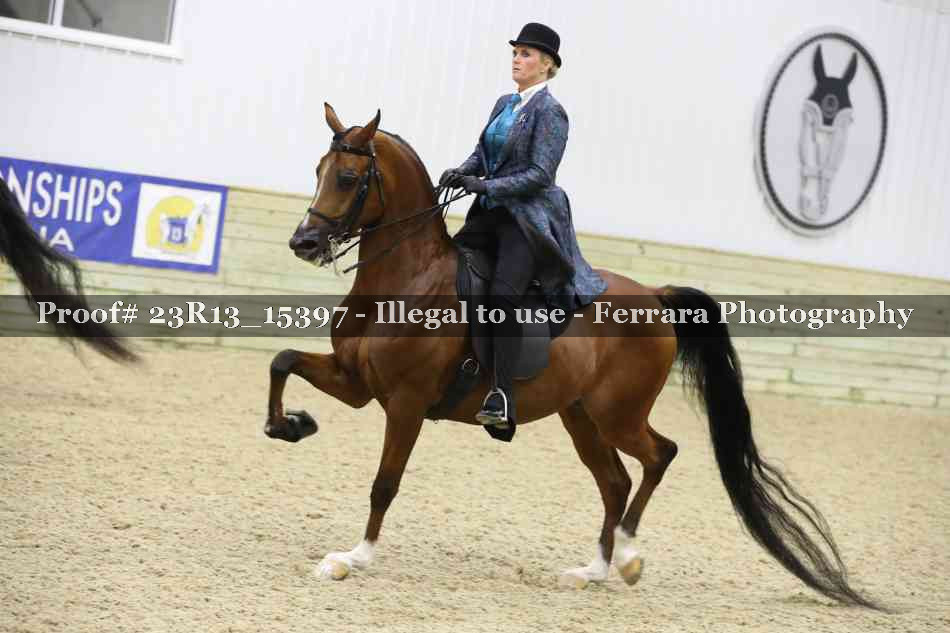 Proof 23R13_15397