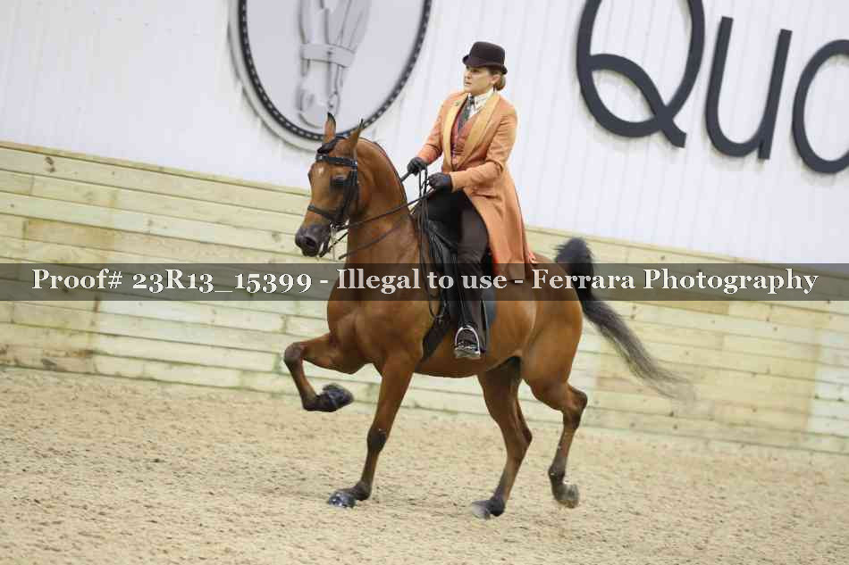 Proof 23R13_15399