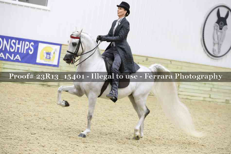 Proof 23R13_15401