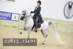 23R13_15401 proof