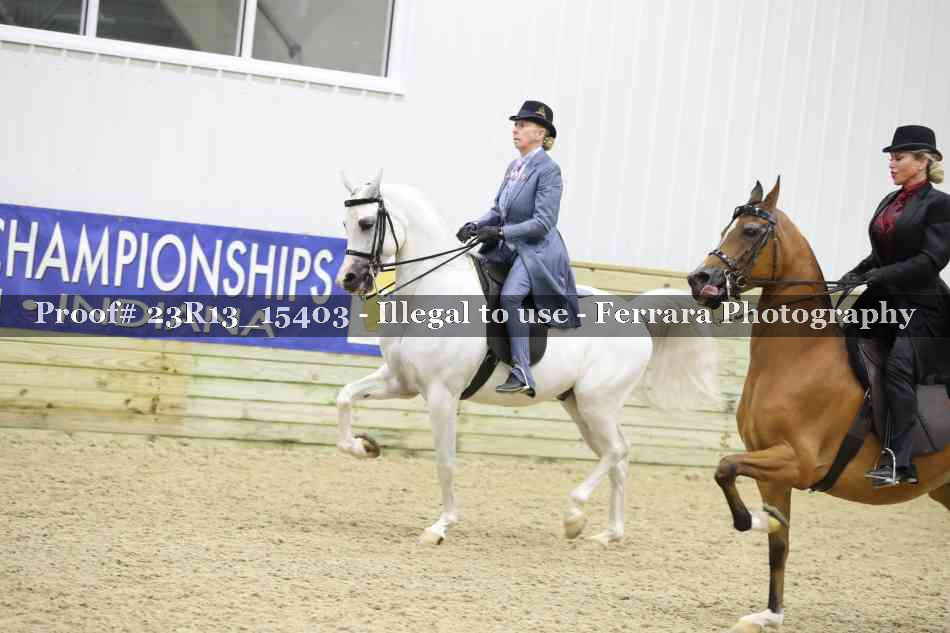 Proof 23R13_15403