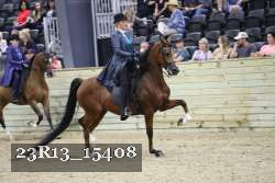 23R13_15408 proof