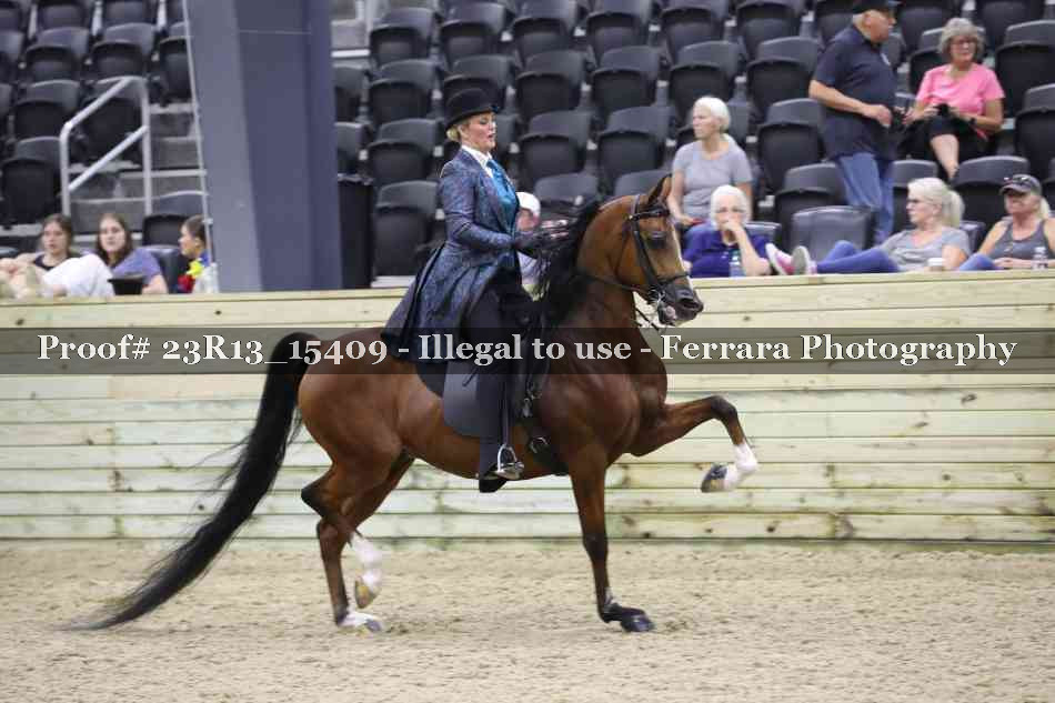 Proof 23R13_15409
