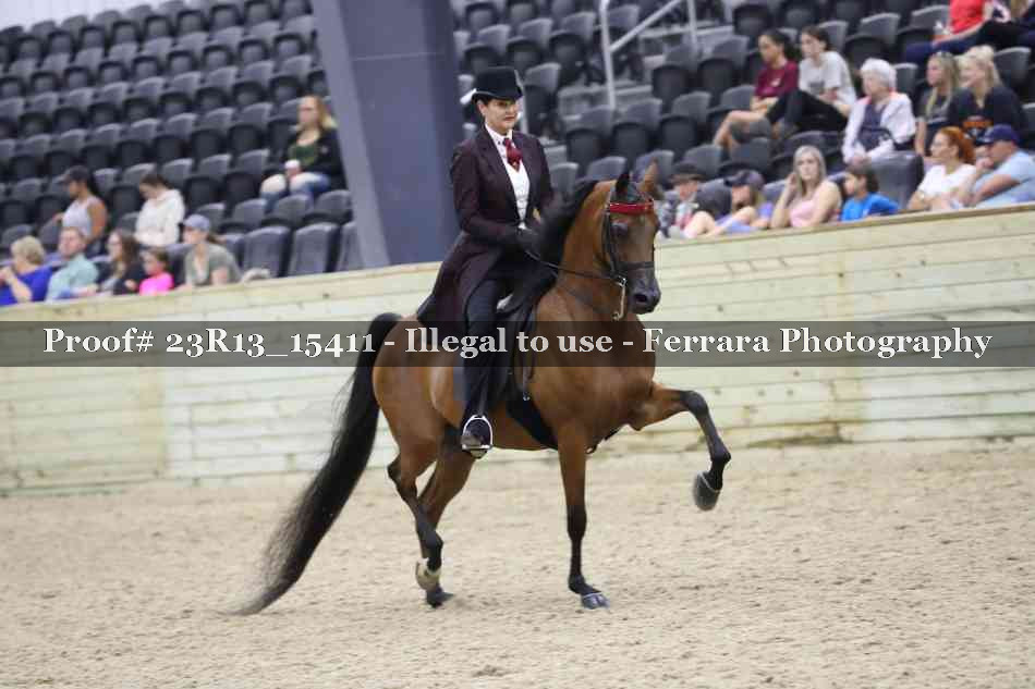 Proof 23R13_15411