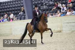 23R13_15411 proof