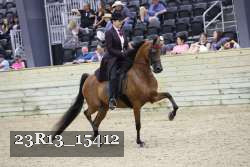 23R13_15412 proof