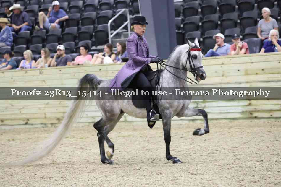 Proof 23R13_15414