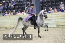 23R13_15414 proof