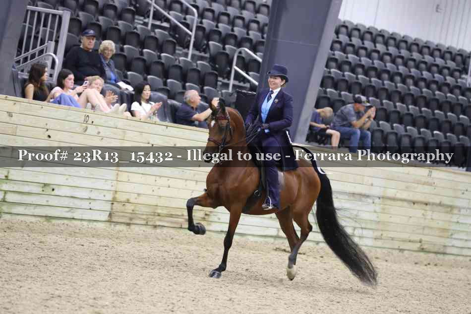 Proof 23R13_15432