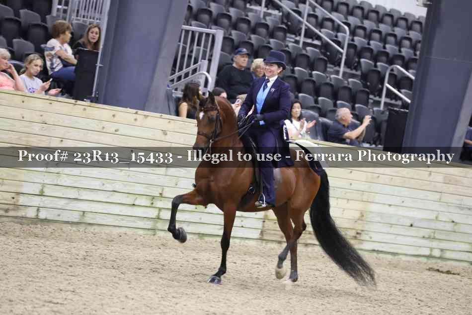 Proof 23R13_15433