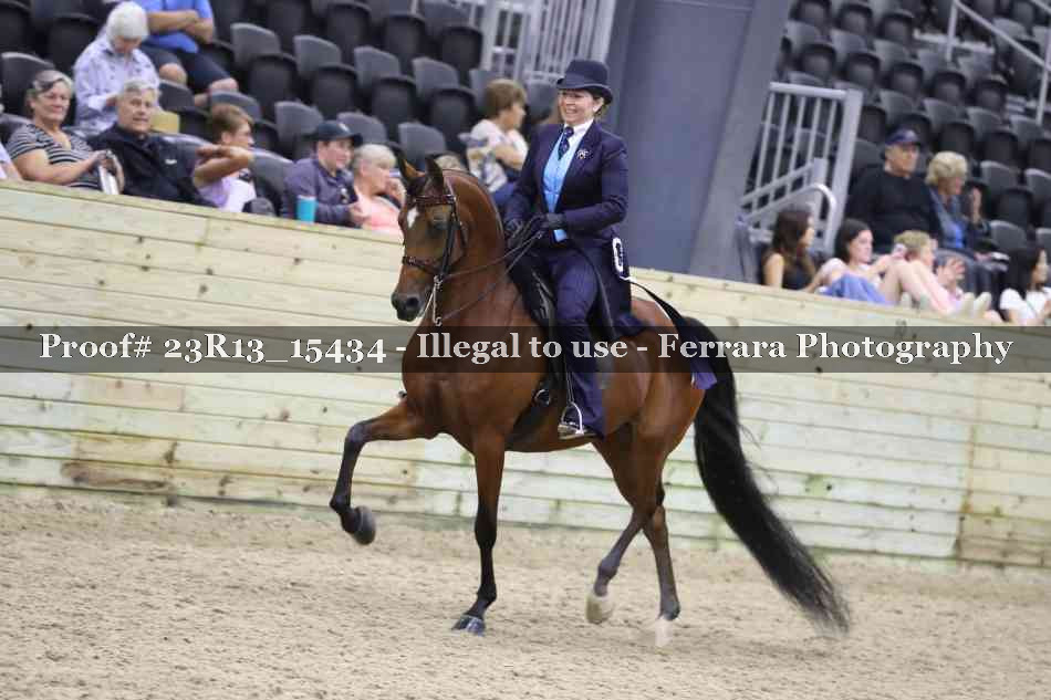 Proof 23R13_15434