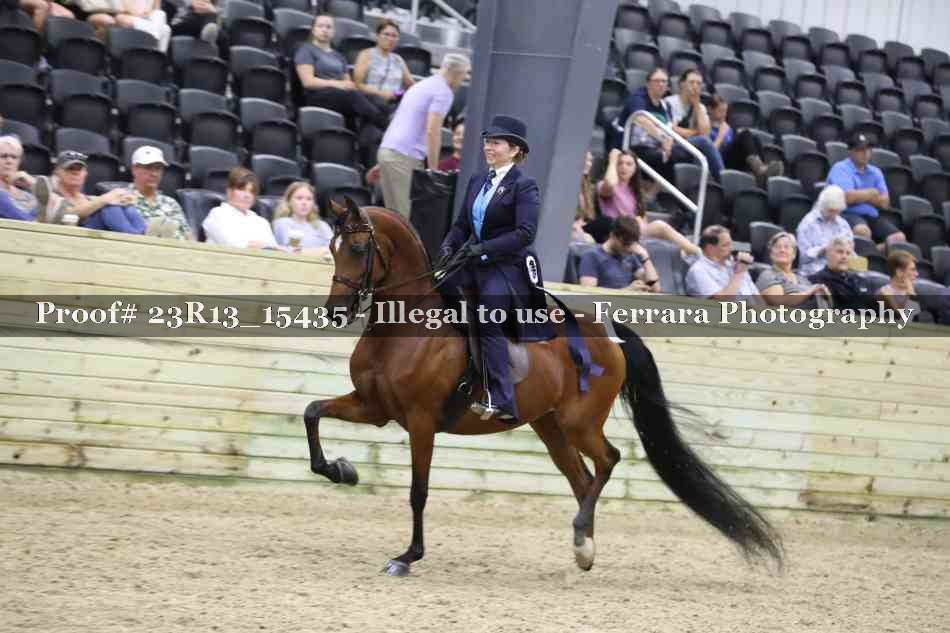 Proof 23R13_15435