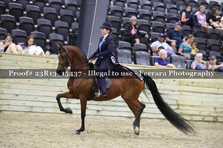 Proof 23R13_15437