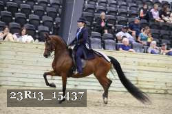23R13_15437 proof