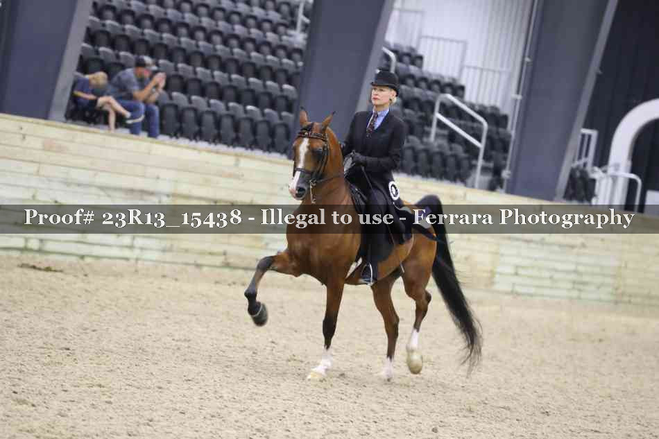 Proof 23R13_15438