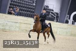 23R13_15438 proof