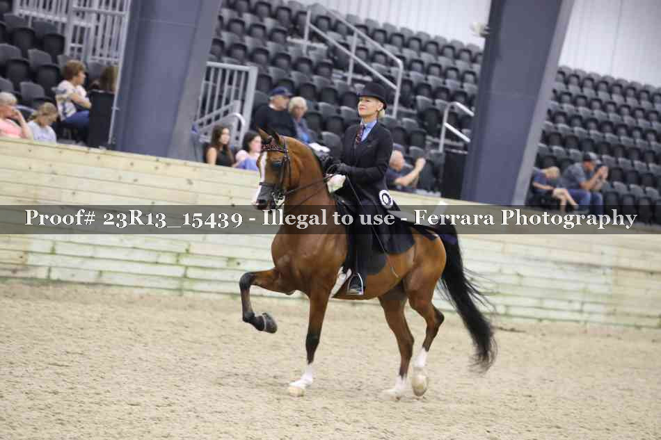 Proof 23R13_15439
