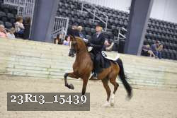23R13_15439 proof