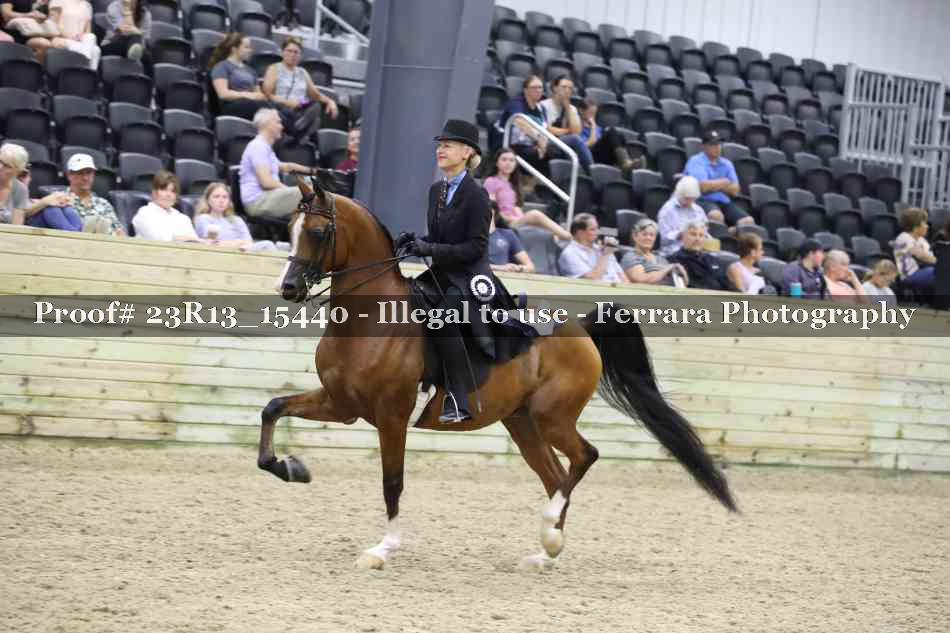 Proof 23R13_15440