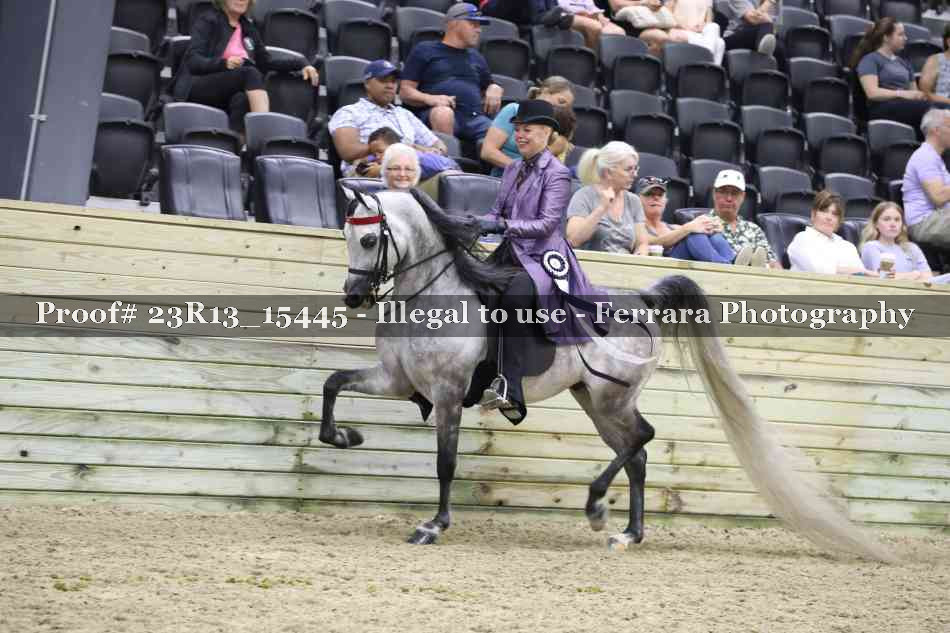 Proof 23R13_15445