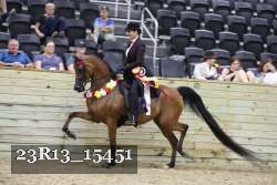 23R13_15451 proof