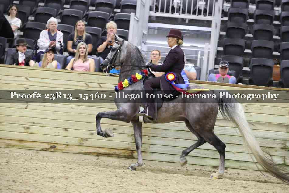Proof 23R13_15460