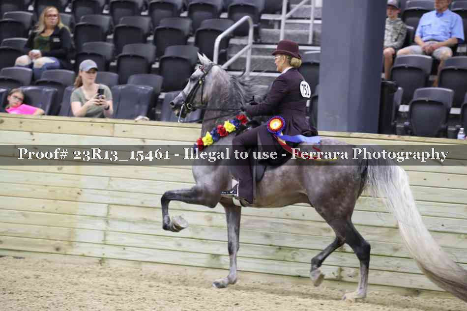 Proof 23R13_15461