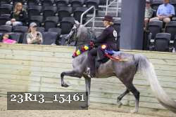 23R13_15461 proof