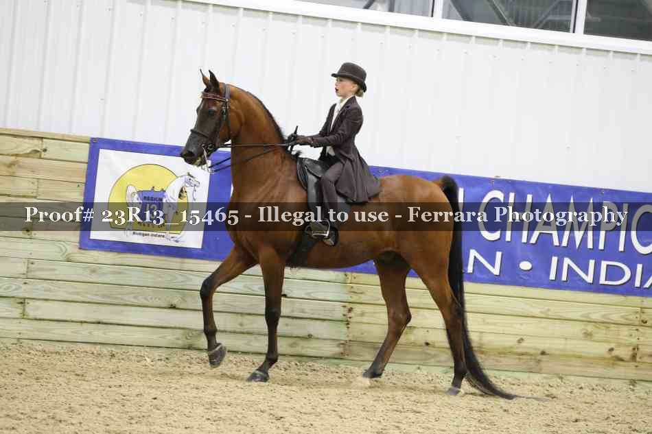 Proof 23R13_15465