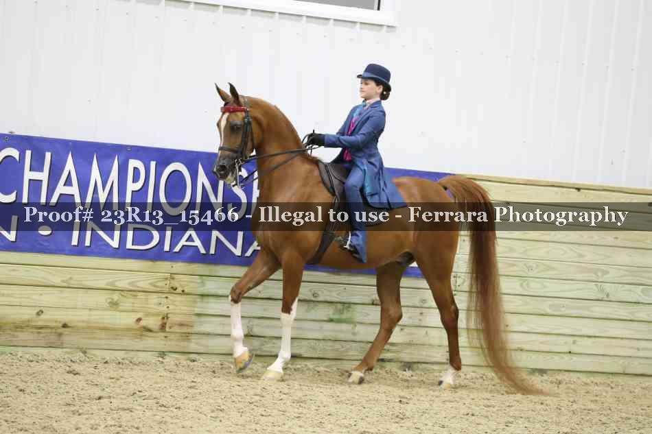 Proof 23R13_15466