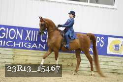 23R13_15467 proof