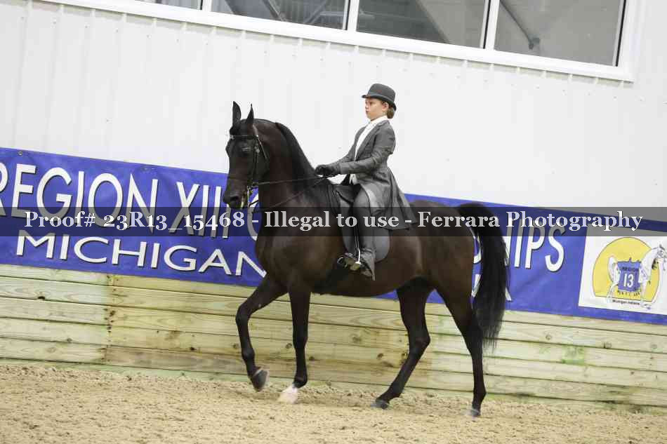 Proof 23R13_15468