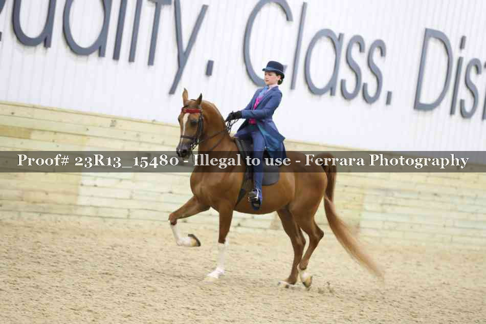 Proof 23R13_15480