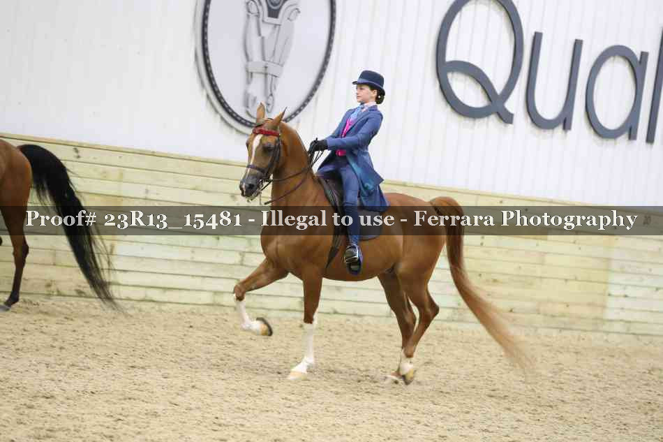 Proof 23R13_15481